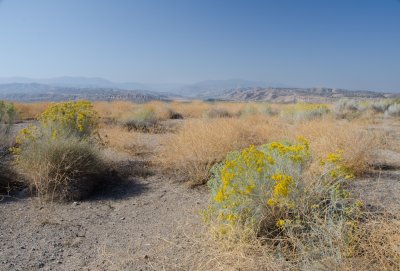 Cuyama Valley-2.jpg