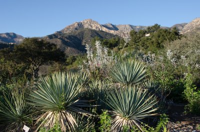 Arlington-Peak-2.jpg