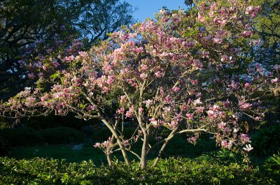 App. 1, Alice Keck Park Memorial Garden