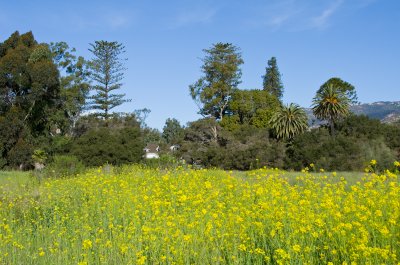 Chap. 11-4, Lake Los Carneros