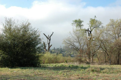 Ojai DSC_5861.jpg
