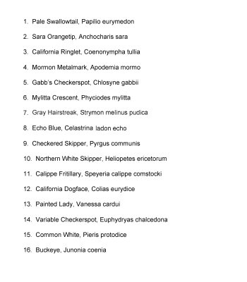 Chap. 6, Chaparral Butterfly names