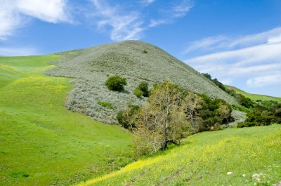 Chap. 6-2, coastal-sage-scrub