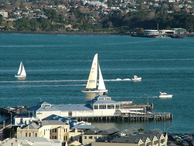 DSCF6595.jpg