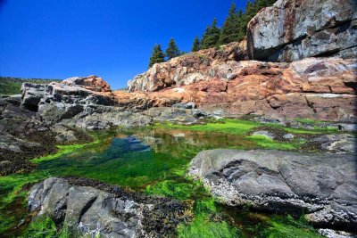 Great Head Tide Pool