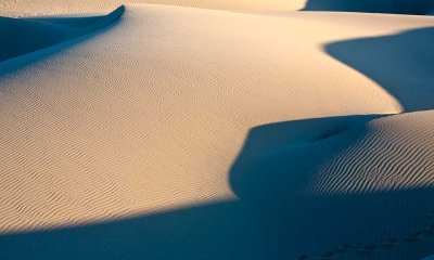 Guadalupe-Nipomo Dunes Preserve