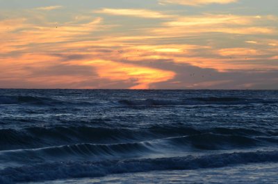 DSC_0516_01.JPG