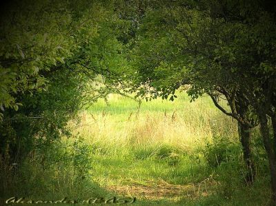 A place to hide from the hot sun