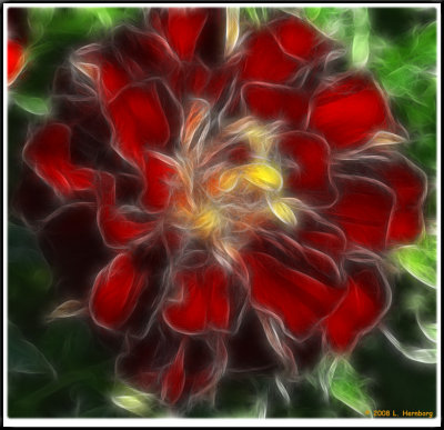 Flower 5.jpg