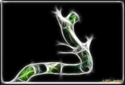DSC02243 web fract.jpg