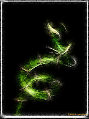 g4/48/584948/3/92099646.b8LKR4uQ.jpg