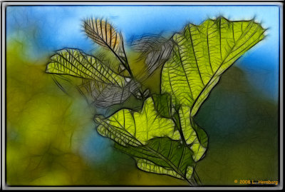Web in leaves 2.jpg