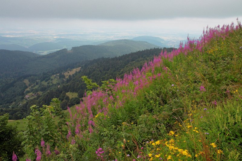 le petit ballon