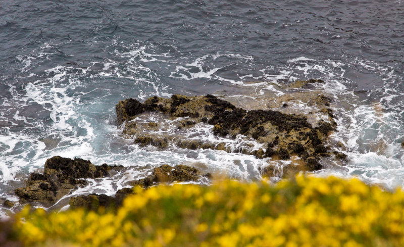 la mer qu'on voit danser...