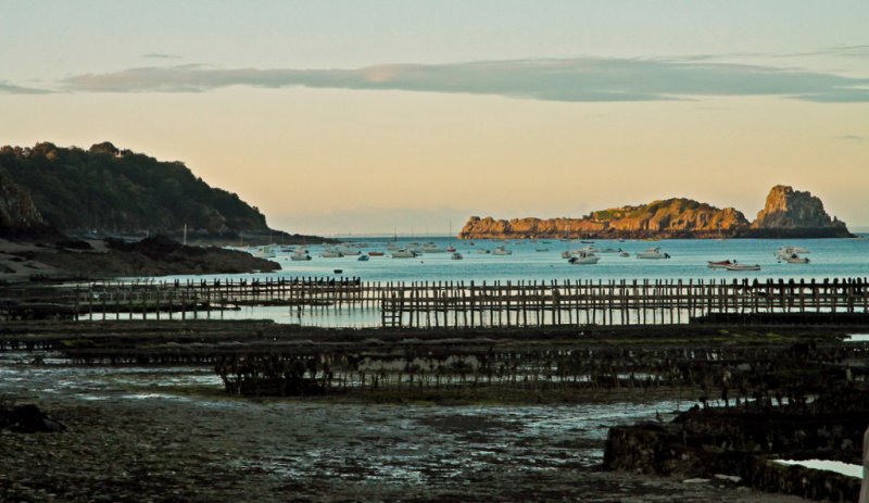 parc à huitres, Cancale