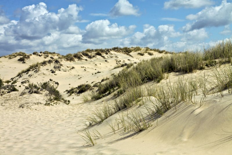 las dunas