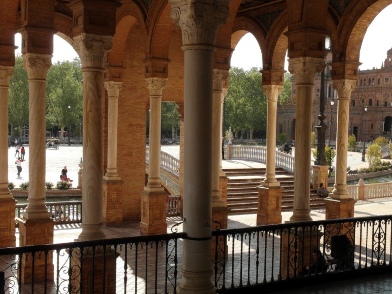 a forest of columns