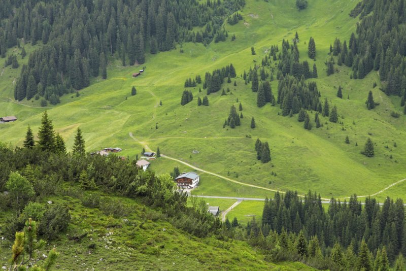  flanc de montagne