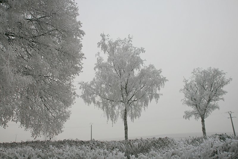 givre et brouillard