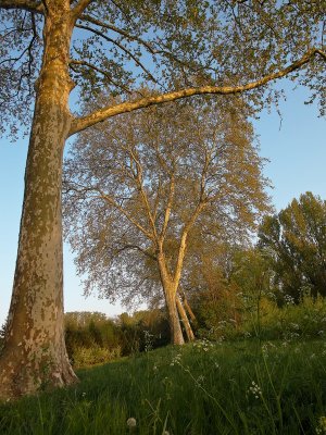 along the canal