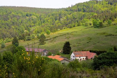 col de la Perheux #3