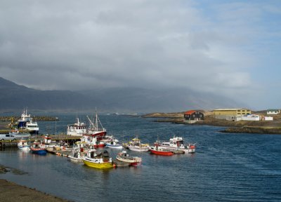 a sunny harbour in Iceland