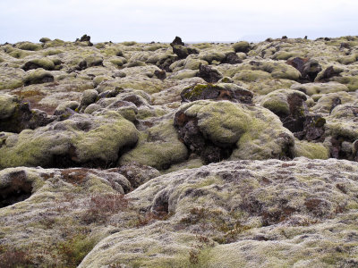 lava covered with moss