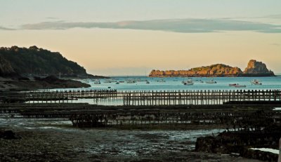 parc  huitres, Cancale