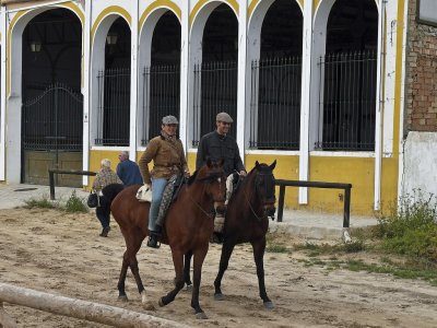 horseback riding