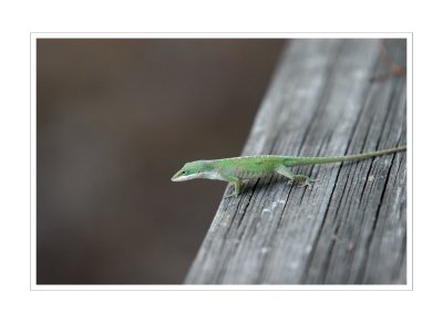 Nature & Wildlife