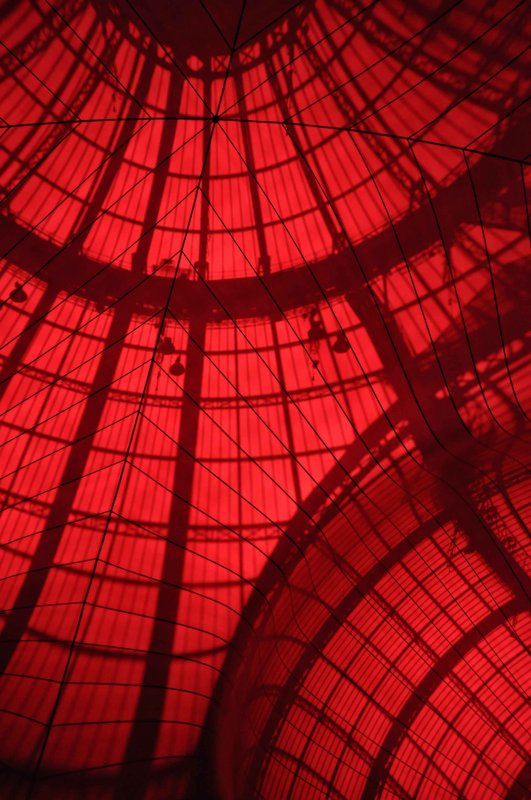 Anish Kapoor - Leviathan au Grand Palais (Monumenta 2011) - 8357