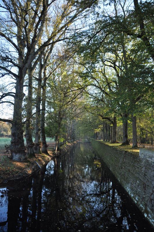 Chenonceau - 4518