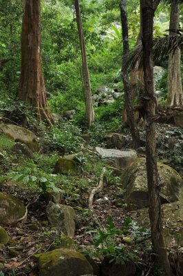 Montagne de Ta Cu, Phan Thiet - 2903