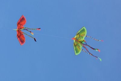 Kites in the sky - 3001