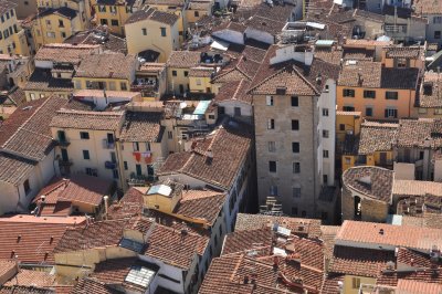 Toits et tours de Florence - 4862