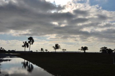 Flamingo - Everglades - 4261