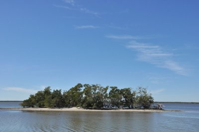 Chokoloskee - 10,000 islands - 4510