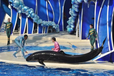 Gallery: Sea World, Orlando