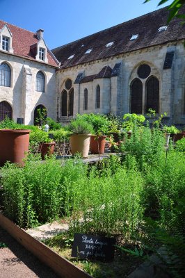 Jardin mdival, abbaye de Royaumont - 0772