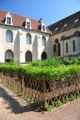 Jardin mdival, abbaye de Royaumont - 0802