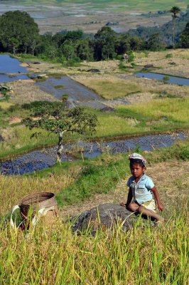 Gallery: North of Tana Toraja, Sulawesi (Indonesia)