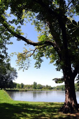 Bois du Petit Parc, Chteau de Chantilly - 6776