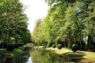 Jardin anglo-chinois, Parc du Château de Chantilly - 6789