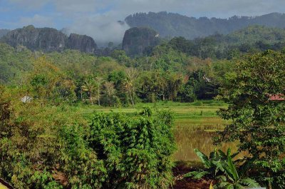 Rantepao, view from our room (Luta hotel)  - 3031