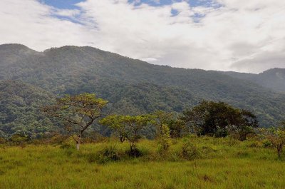 Bada Valley, Lore Lindu - 3877