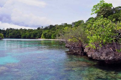 Batu Daka island, Togean islands, Gulf of Tomini, Central Sulawesi (Indonesia) - 4891