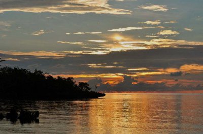 Batu Daka island, Togean islands, Gulf of Tomini, Central Sulawesi (Indonesia) - 4953