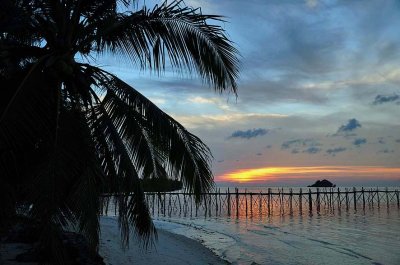 Batu Daka island, Togean islands, Gulf of Tomini, Central Sulawesi (Indonesia) - 5075