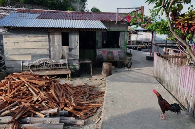 Bajau village of Siatu, Batu Daka island, Togean islands, Gulf of Tomini, Sulawesi (Indonesia) - 5323