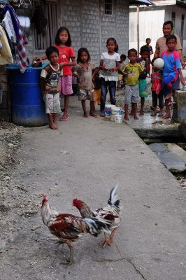 Bajau village of Siatu, Batu Daka island, Togean islands, Gulf of Tomini, Sulawesi (Indonesia) - 5355